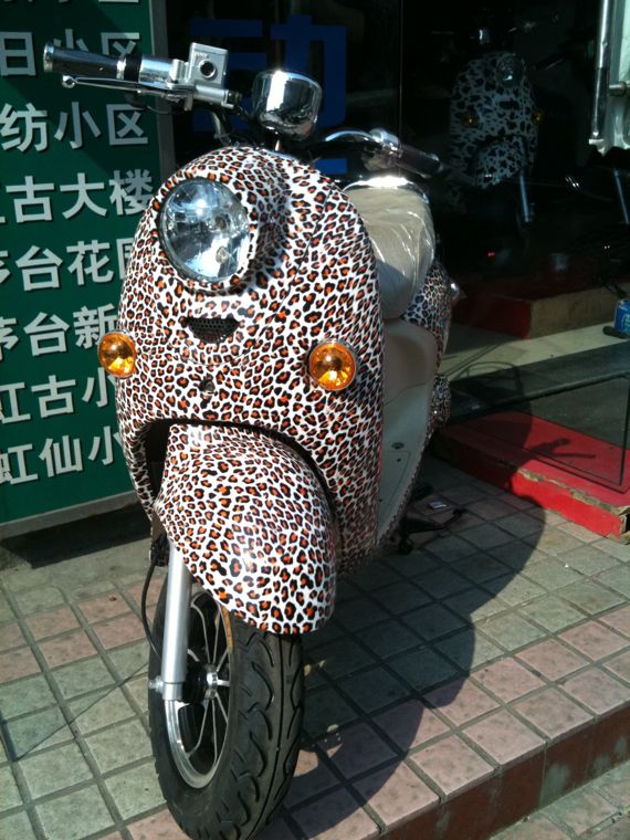 Scooter Leopard